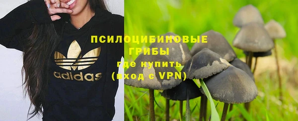 прущие крисы Магадан